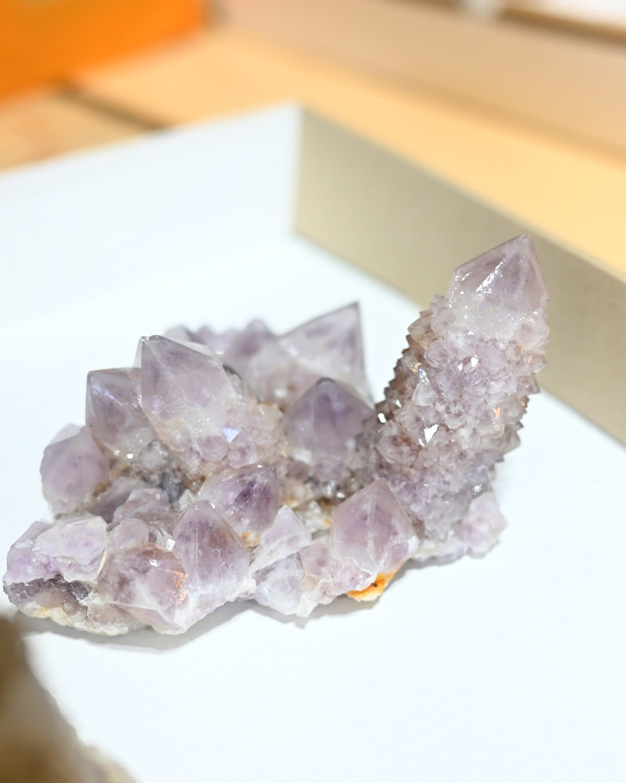 Amethyst Spirit Cactus Quartz