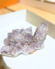 Amethyst Spirit Cactus Quartz