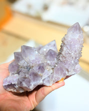 Amethyst Spirit Cactus Quartz