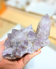 Amethyst Spirit Cactus Quartz