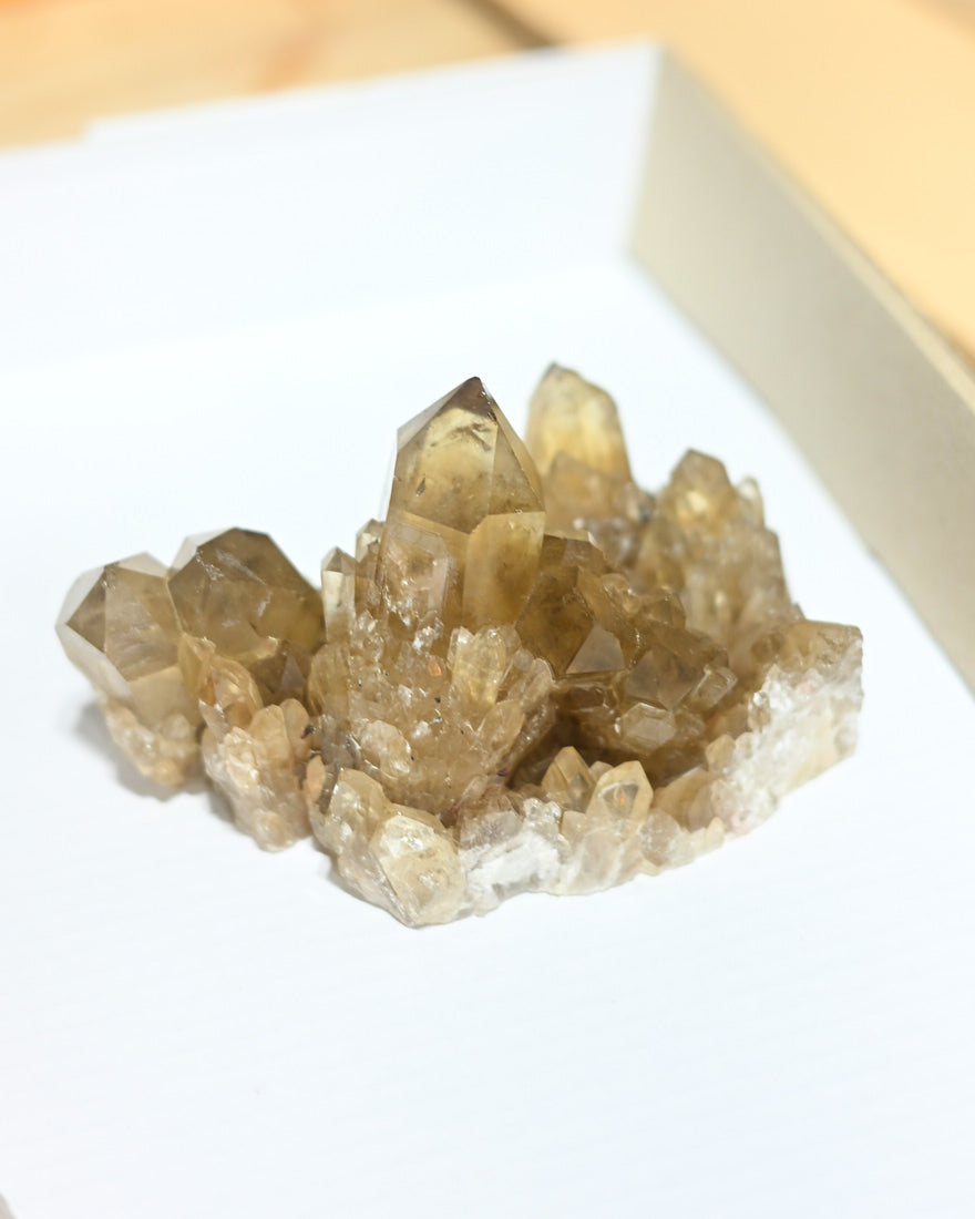 Elestial Citrine Cluster