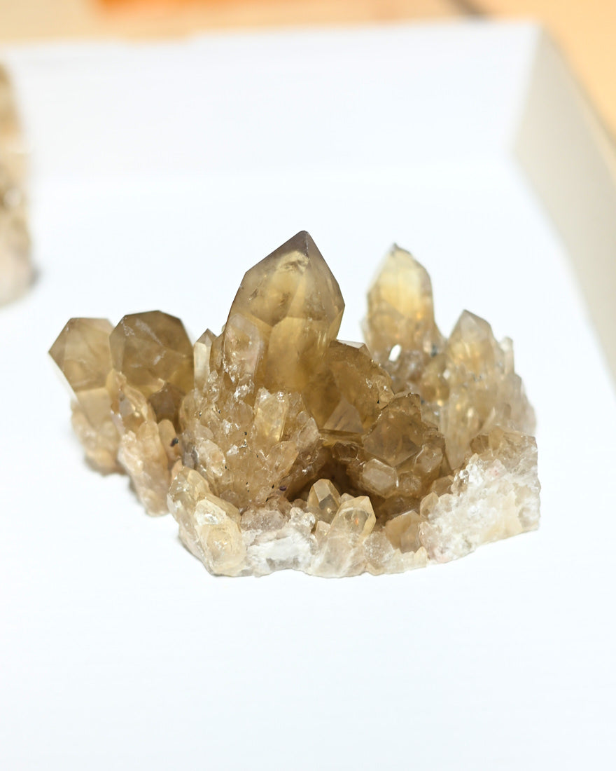 Elestial Citrine Cluster