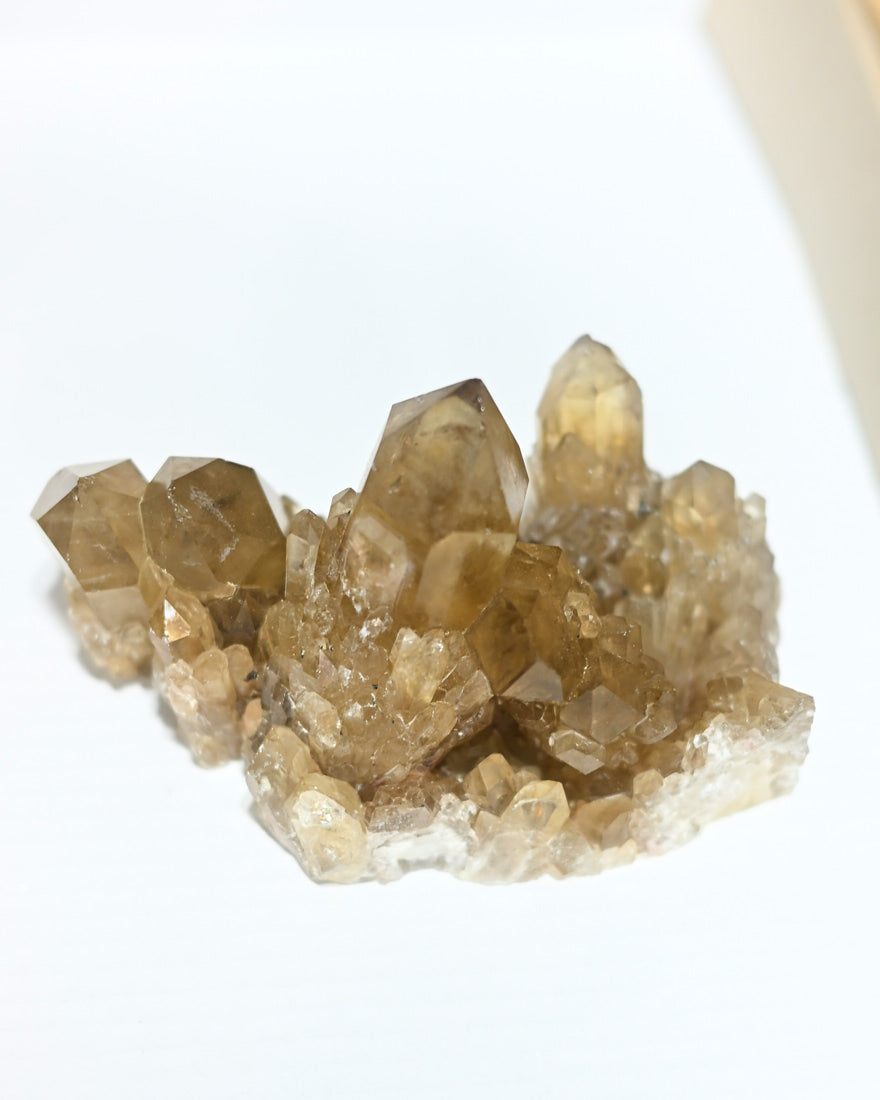 Elestial Citrine Cluster