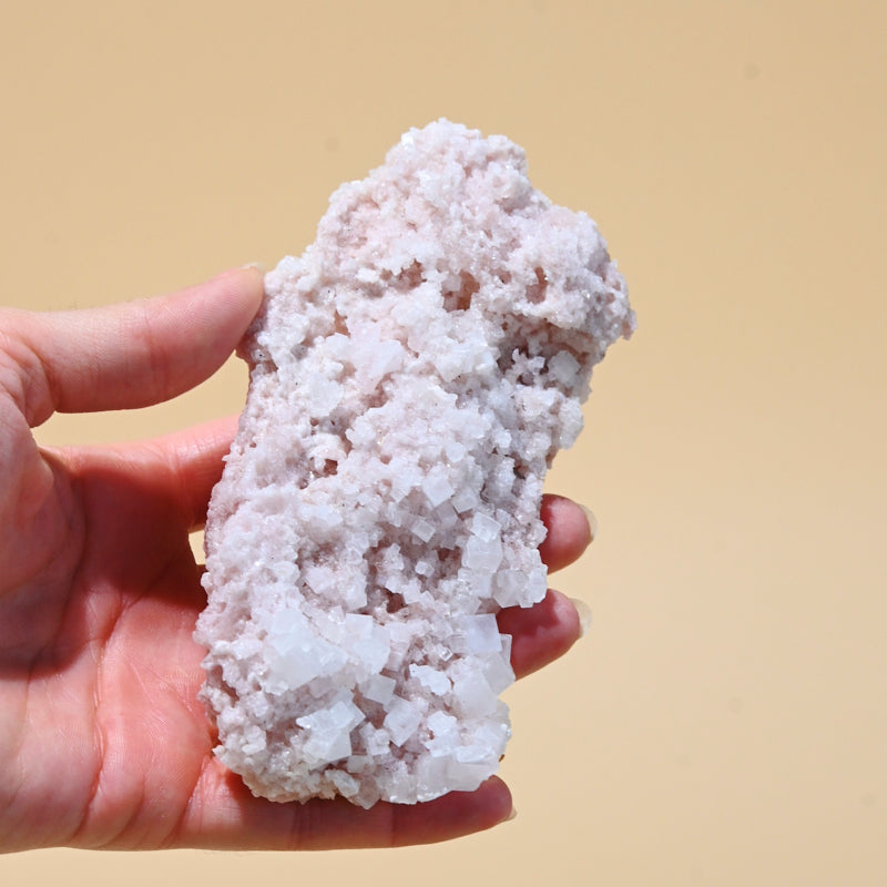 HALITE--132------9037.jpg