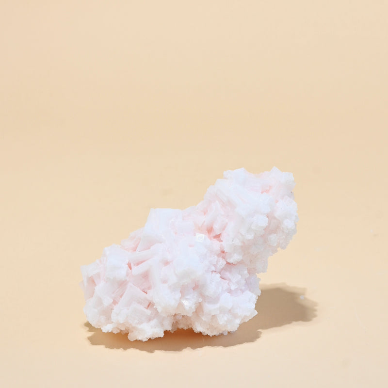 HALITE--370--8972.jpg