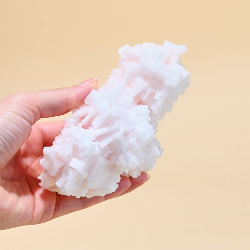 HALITE--370--8973.jpg