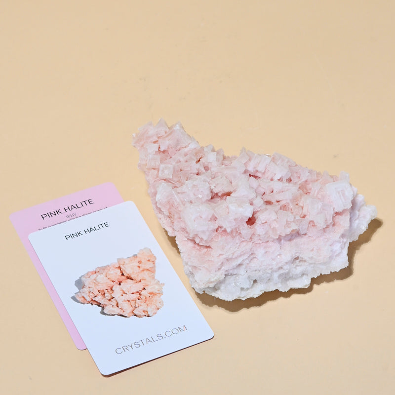 HALITE--570------9031.jpg