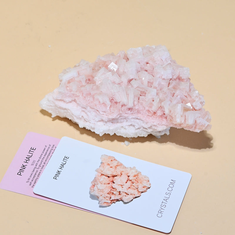 HALITE--570------9033.jpg