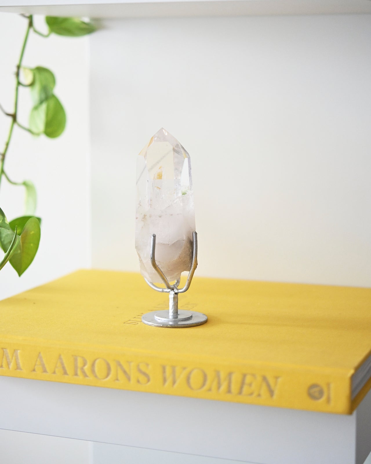 Lemurian Seed Crystal with a Gray Phantom