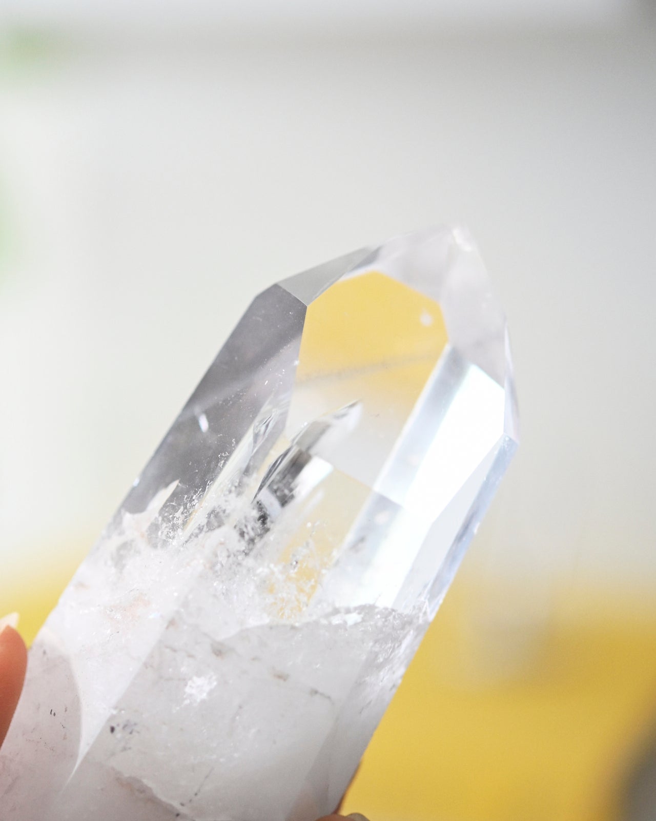 Lemurian Seed Crystal with a Gray Phantom