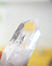 Lemurian Seed Crystal with a Gray Phantom