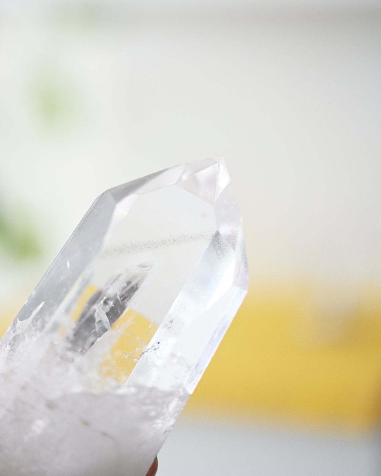 Lemurian Seed Crystal with a Gray Phantom