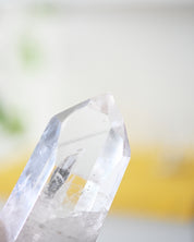 Lemurian Seed Crystal with a Gray Phantom