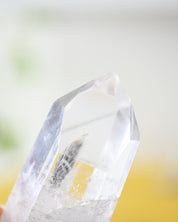 Lemurian Seed Crystal with a Gray Phantom