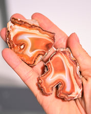 Malawi Agate Geode Pair