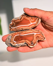 Malawi Agate Geode Pair