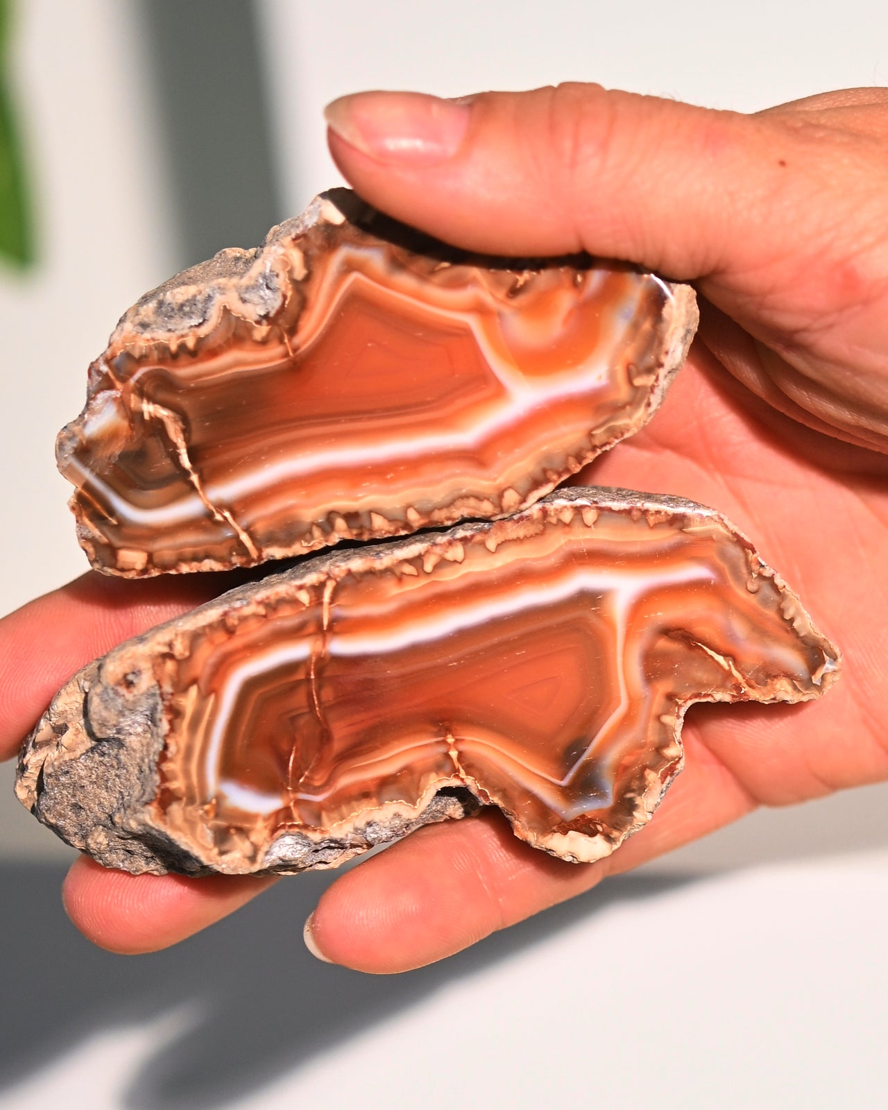 Malawi Agate Geode Pair