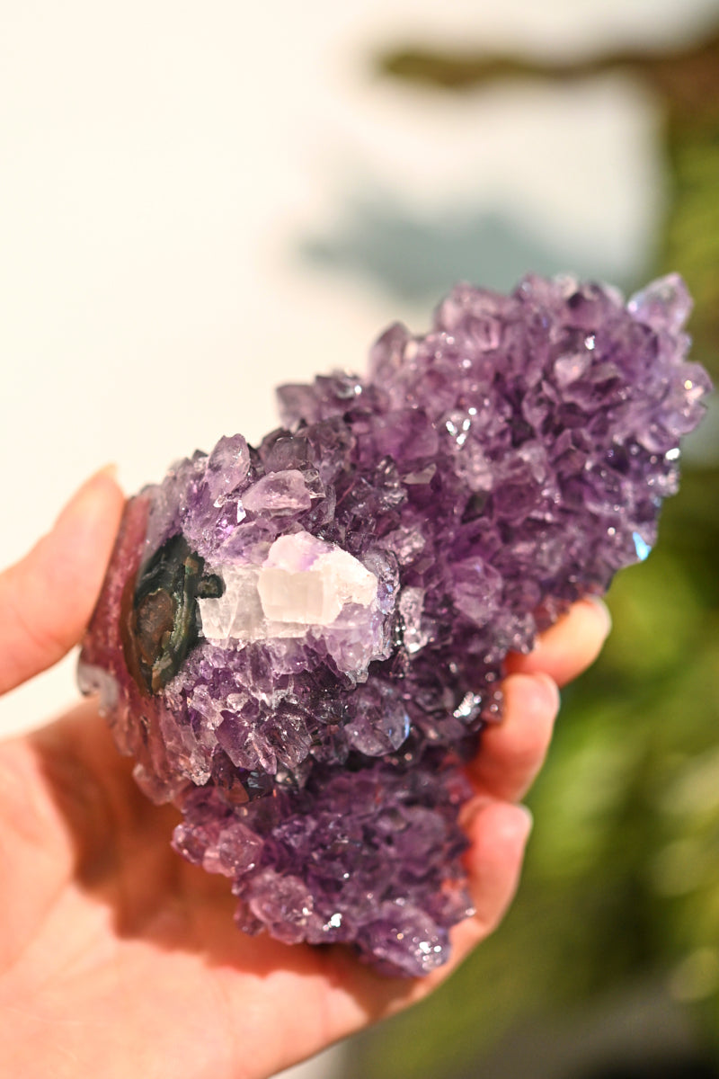 amethyst--534--4x3--13496.jpg