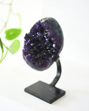 Amethyst Crystal Geode on Stand 1.6lbs