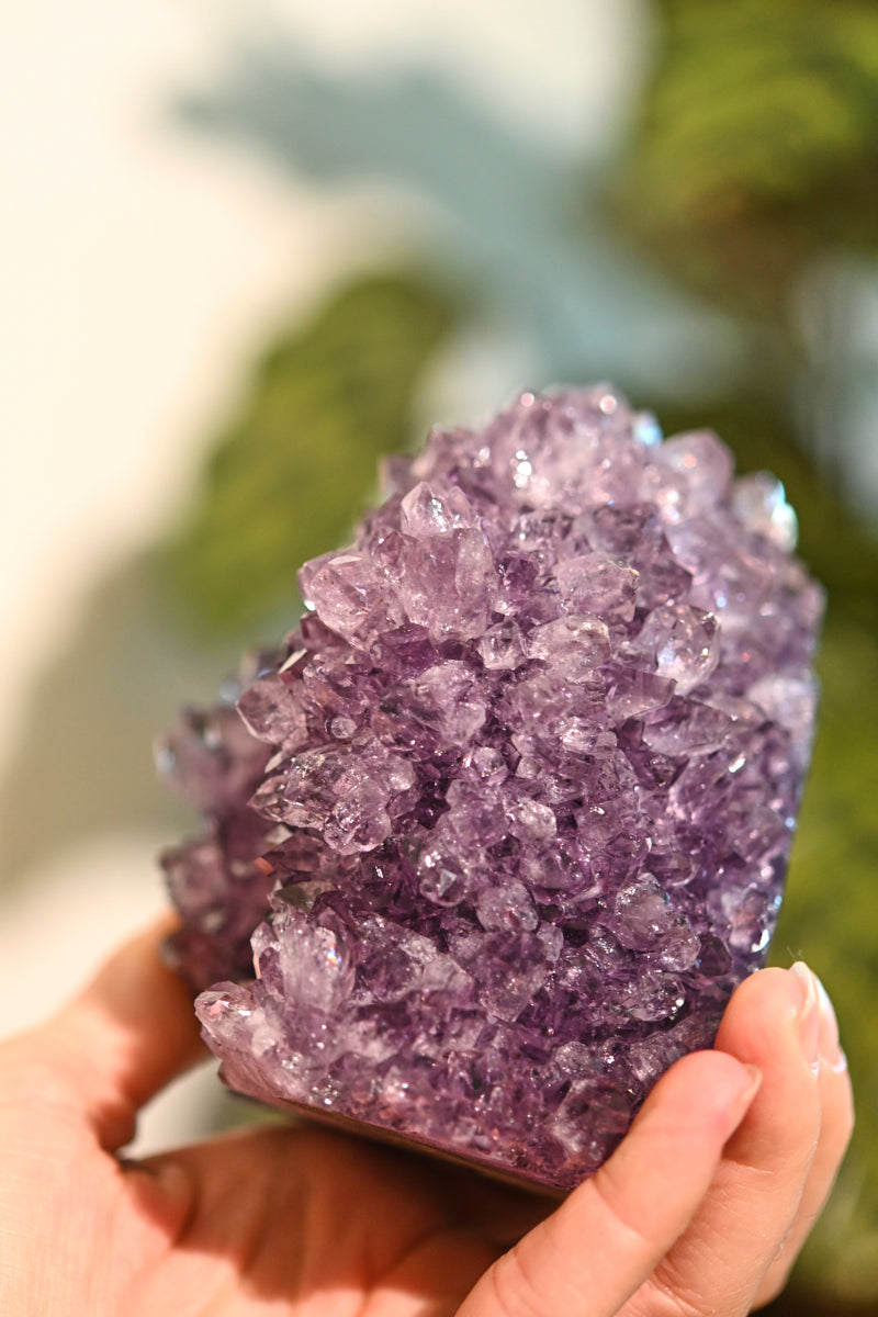 Amethyst Flower Cluster Freeform