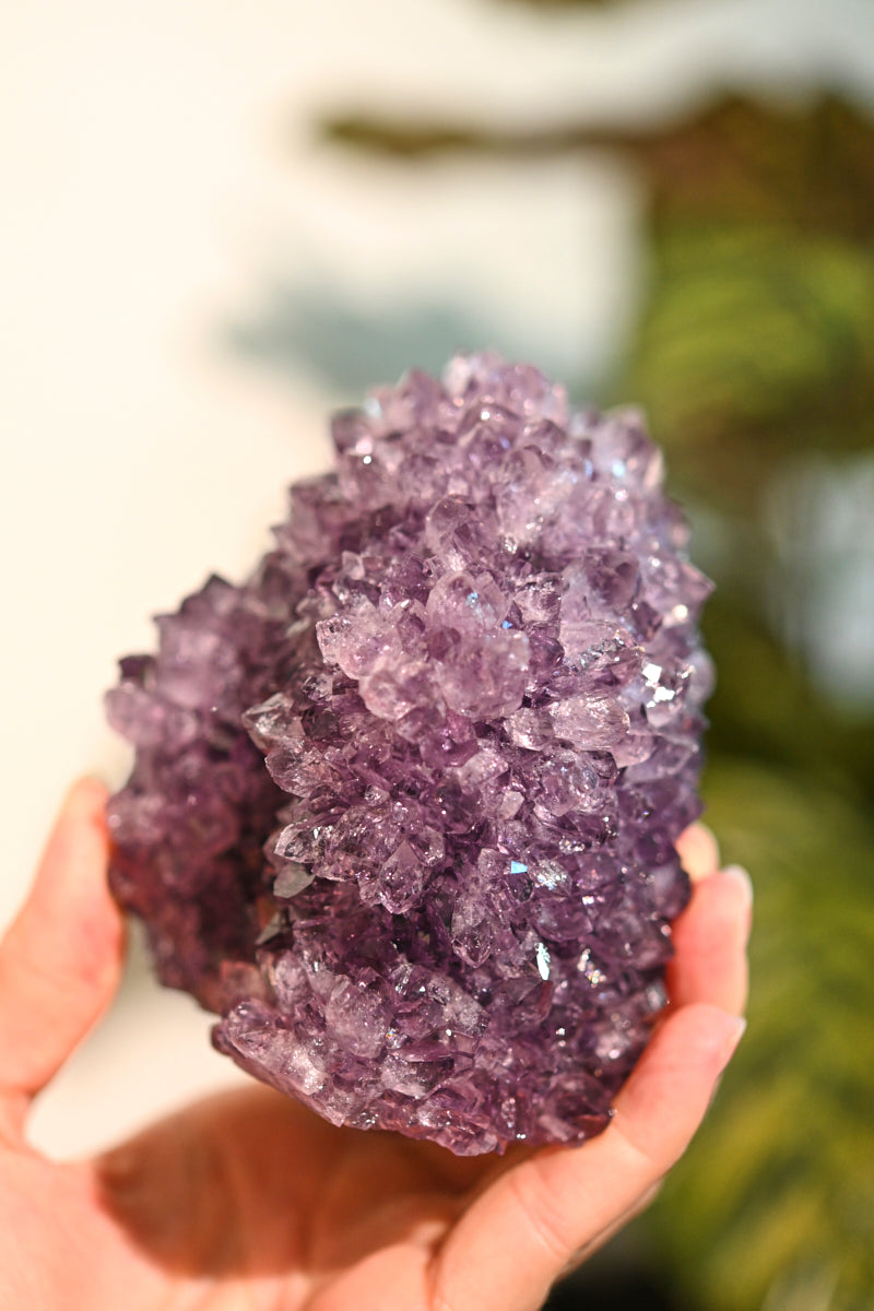 amethyst--864--4x3--13494.jpg