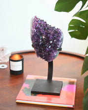 XL Amethyst Crystal Geode on Stand 12.8lb