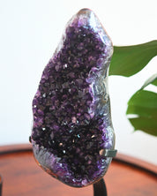 XL Amethyst Geode on Stand 13.6lbs