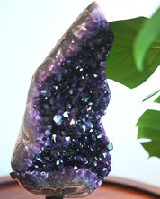 XL Amethyst Geode on Stand 13.6lbs