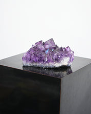 XL Amethyst Cluster 6.3lbs