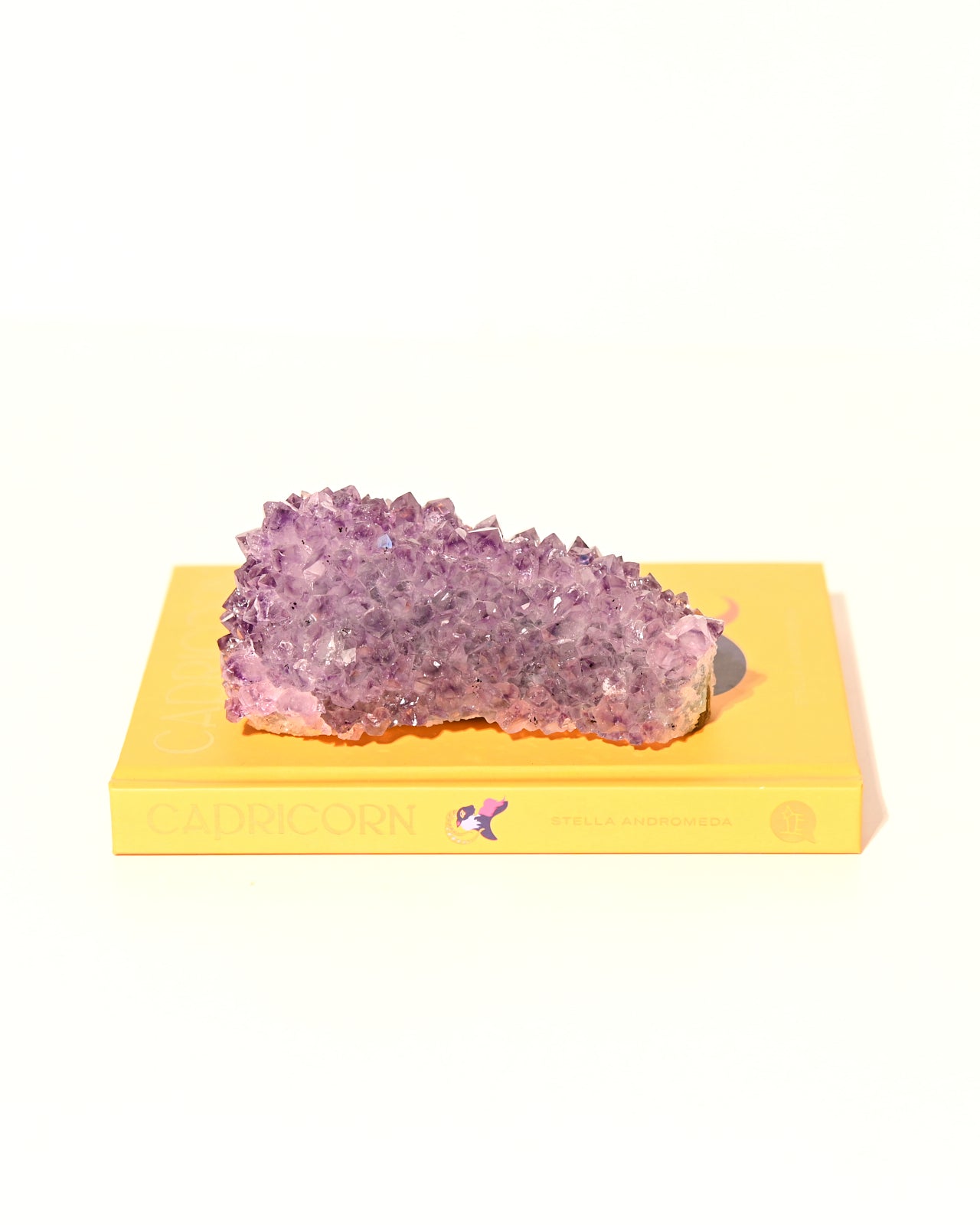 amethyst-370---4x2--15520.jpg