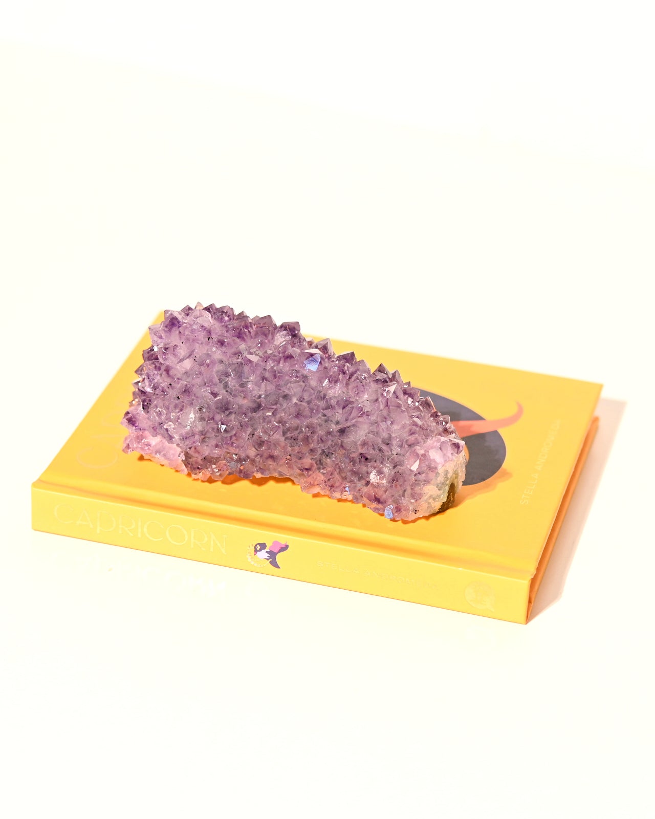 amethyst-370---4x2--15521.jpg