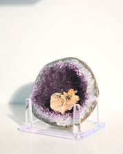 Amethyst Geode w/ Mini Golden Rutile On Stand