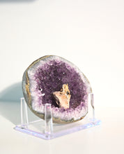 Amethyst Geode w/ Mini Golden Rutile On Stand