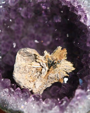 Amethyst Geode w/ Mini Golden Rutile On Stand