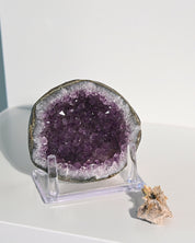 Amethyst Geode w/ Mini Golden Rutile On Stand