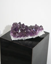 XL Amethyst Cluster 10in / 9lbs