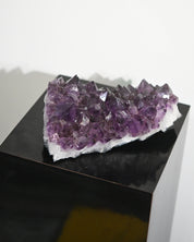 XL Amethyst Cluster 10in / 9lbs