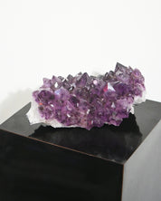 XL Amethyst Cluster 10in / 9lbs