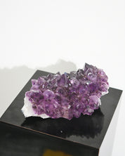 XL Amethyst Cluster 10in / 9lbs