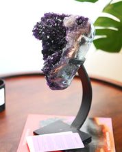 XL Amethyst Geode on Stand 9.7lbs