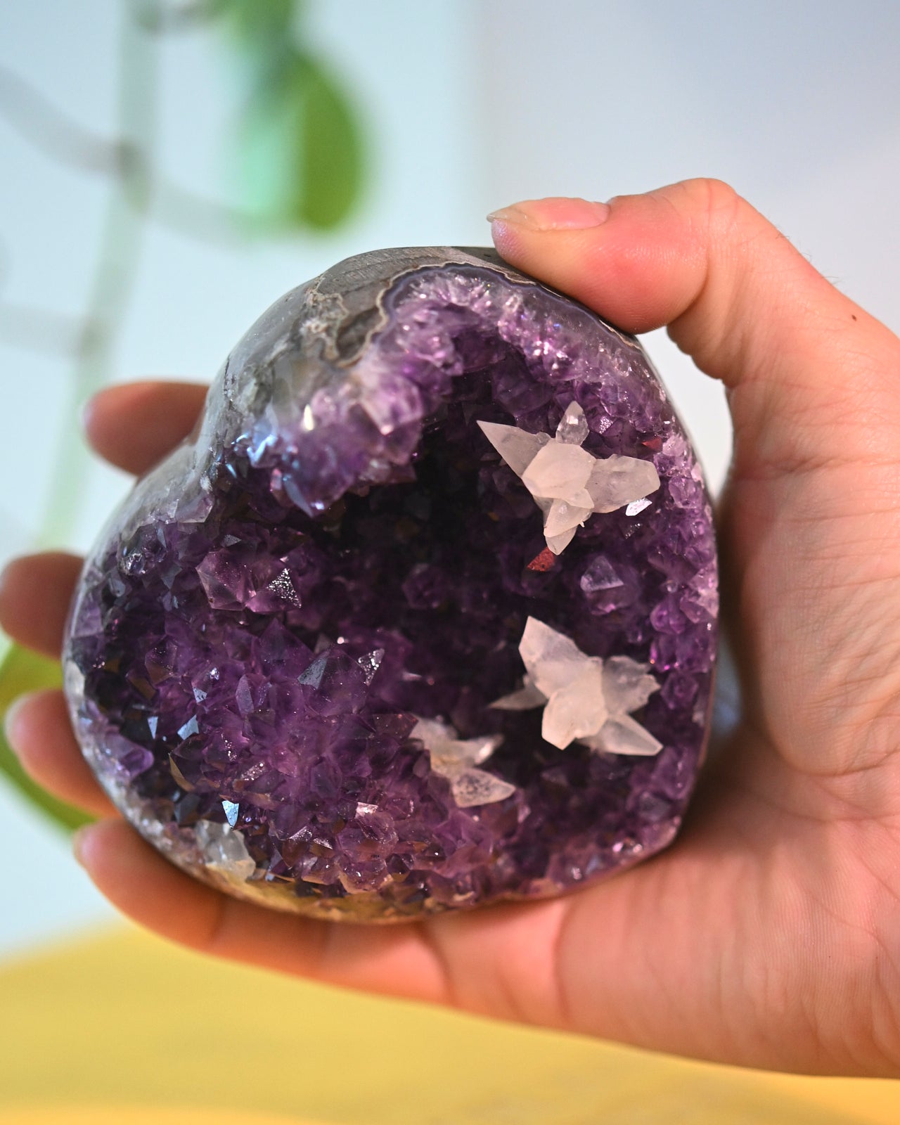 amethyst-470--4x2--0827.jpg