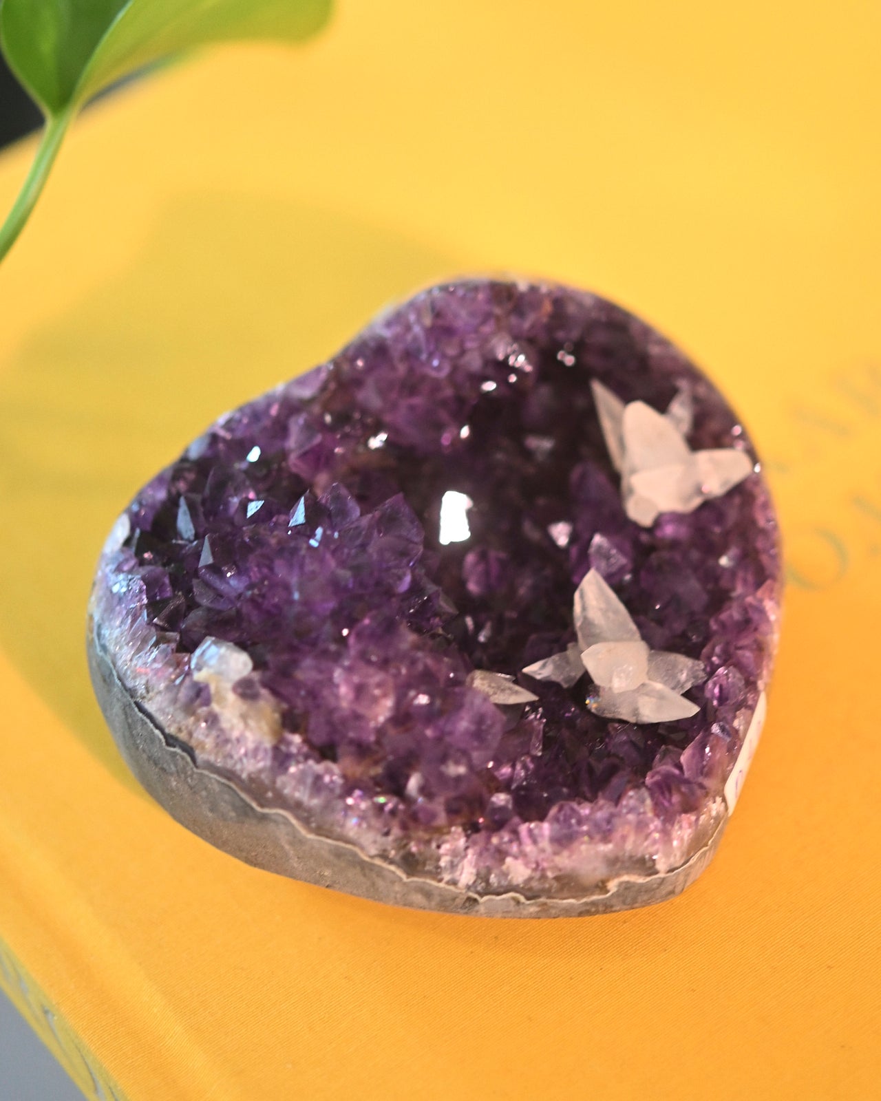 amethyst-470--4x2--0832.jpg