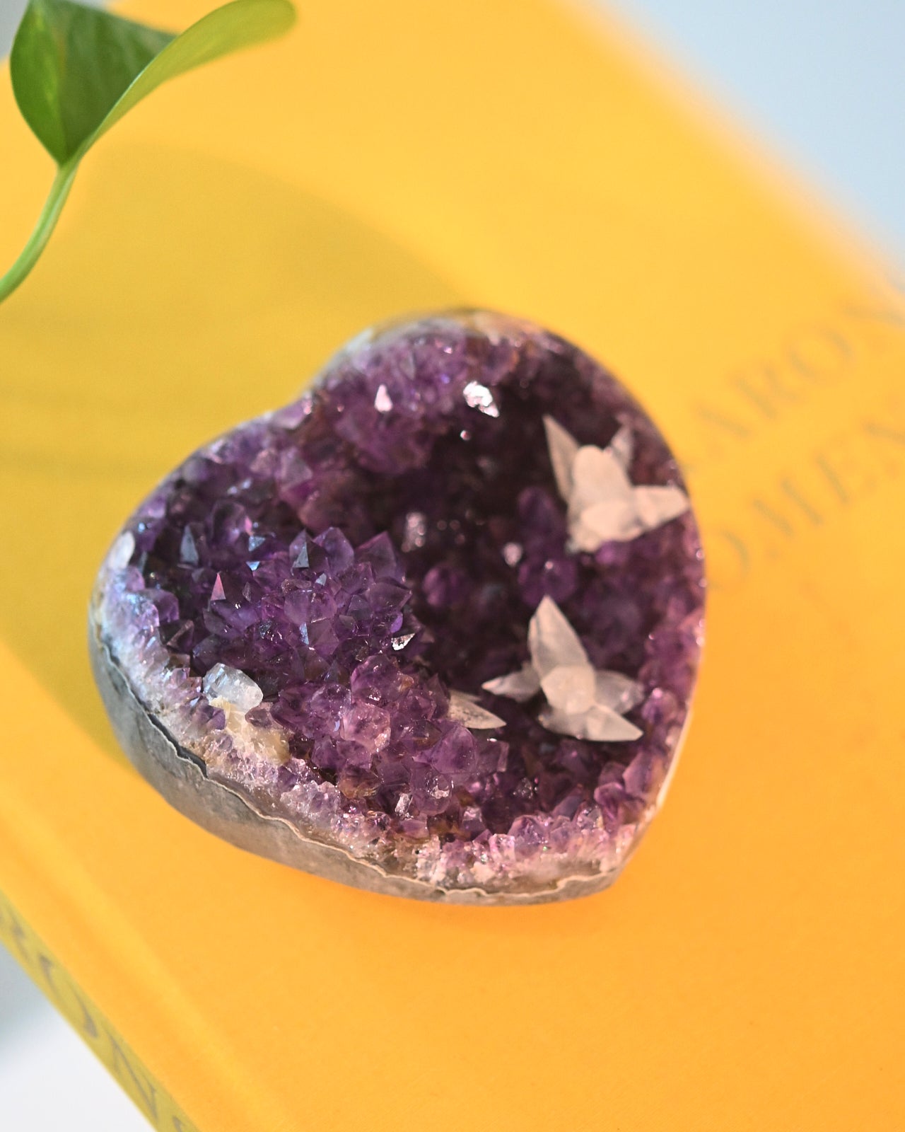 amethyst-470--4x2--0834.jpg