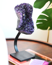 XL Amethyst Crystal Geode on Stand 11.6bs