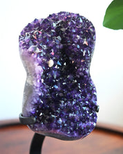 XL Amethyst Crystal Geode on Stand 11.6bs