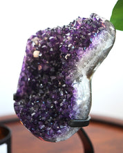 XL Amethyst Crystal Geode on Stand 11.6bs