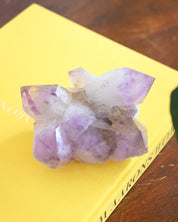 Lg Bolivian Amethyst Cluster 2.7lbs