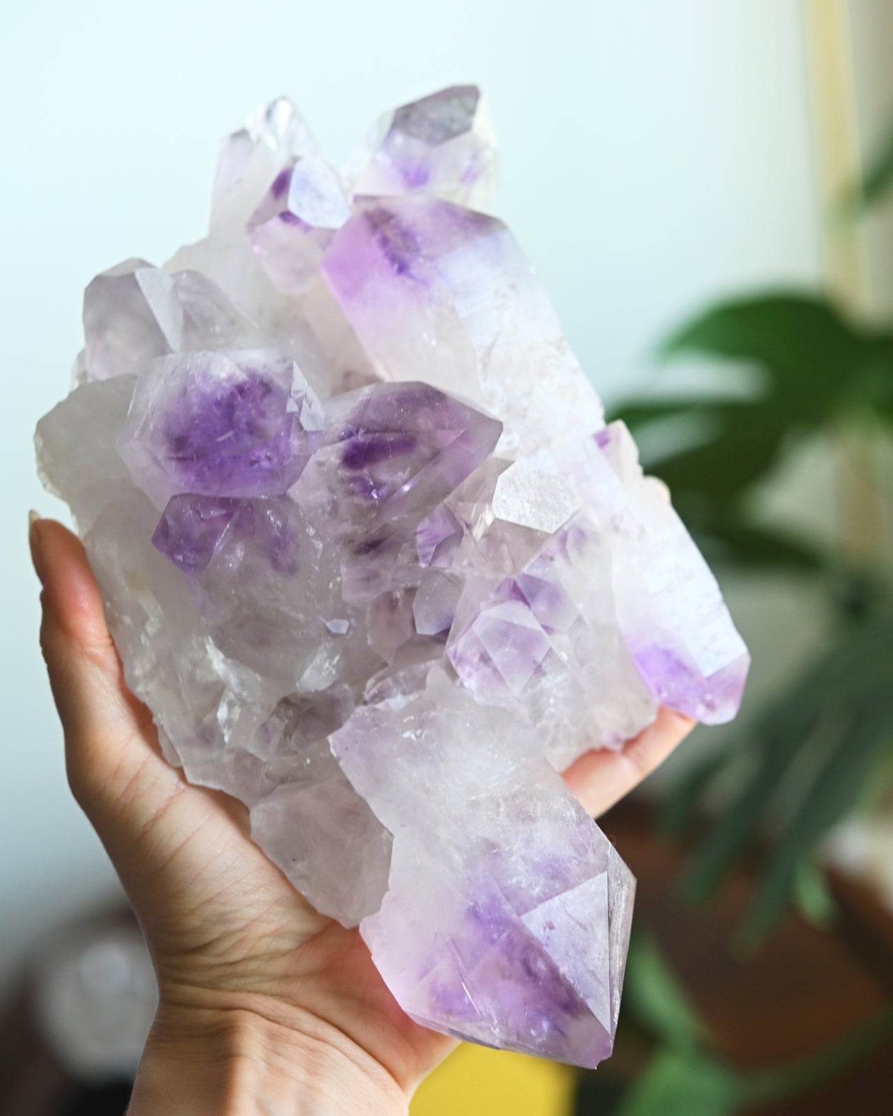 Lg Bolivian Amethyst Cluster