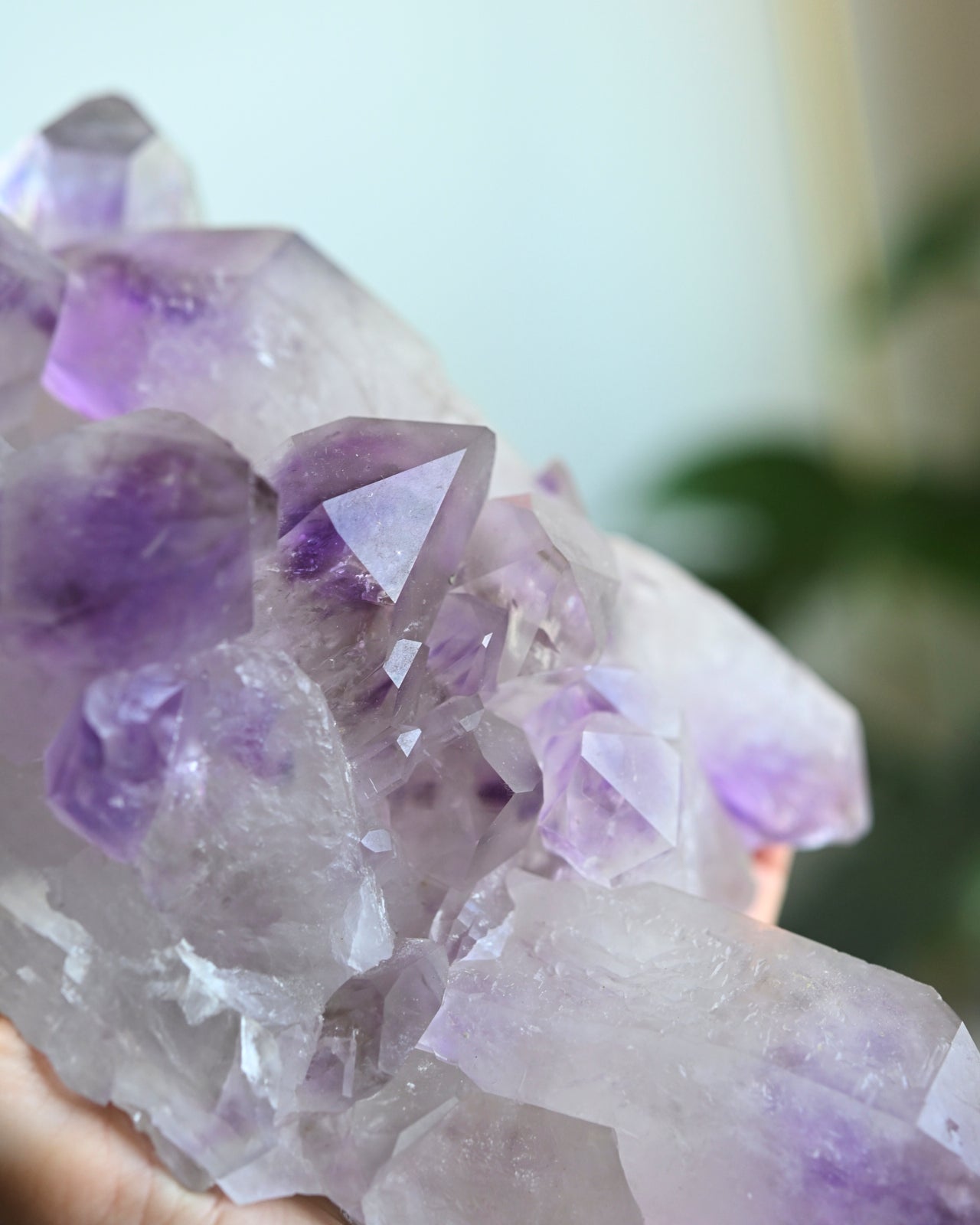 Lg Bolivian Amethyst Cluster