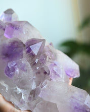 Lg Bolivian Amethyst Cluster